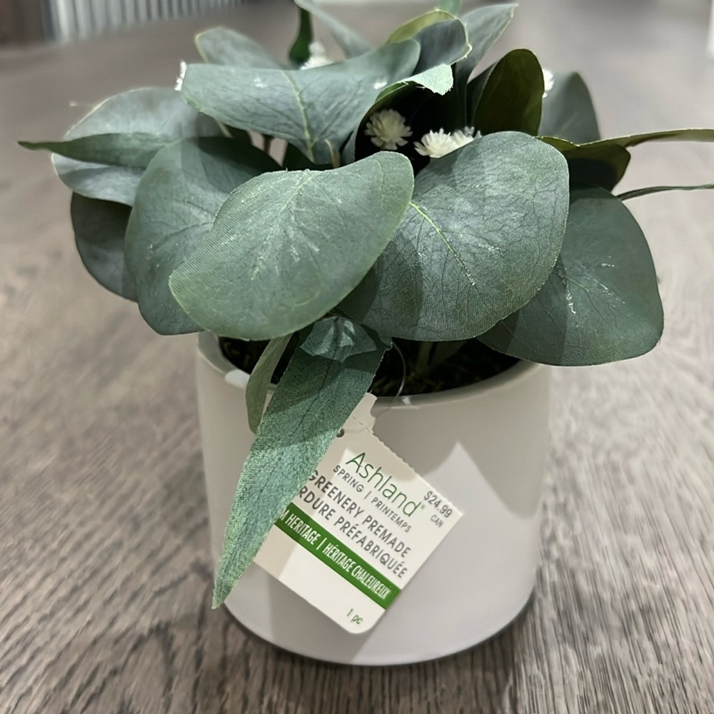 Faux Plant